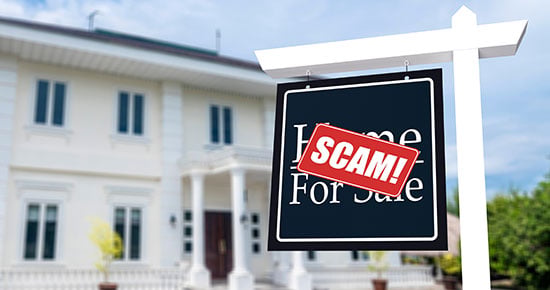 Home for sale with the word SCAM! written over the sign.